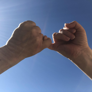 Excellence and Professionalism